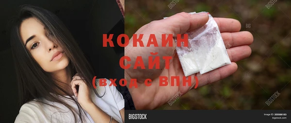 PSILOCYBIN Балабаново