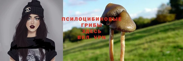 каннабис Баксан