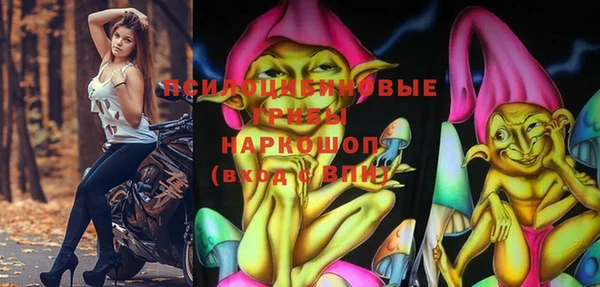 PSILOCYBIN Балабаново