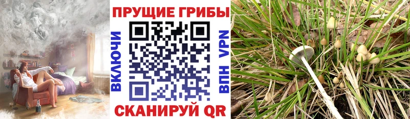 Псилоцибиновые грибы ЛСД Бикин